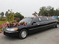 廣州租車-婚車花車